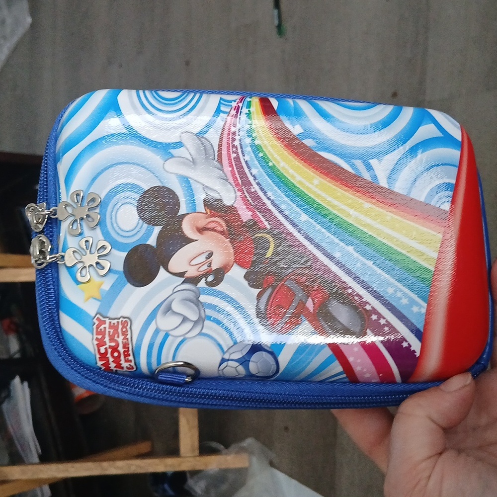 Disney bag